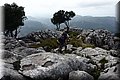 P9290608.JPG