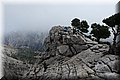 P9290613.JPG