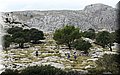 P9290632.JPG