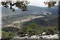 P9290651.JPG