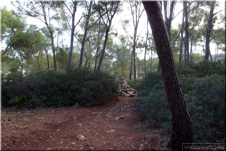 PA020672.JPG