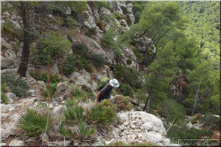 PA020693.JPG
