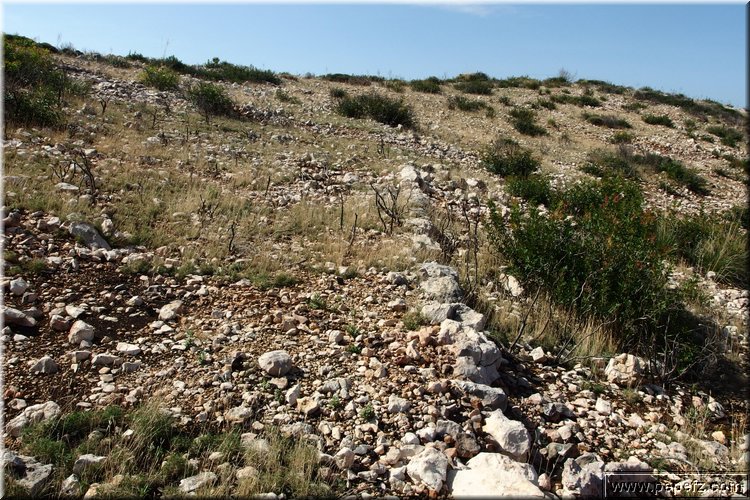 PA020717.JPG