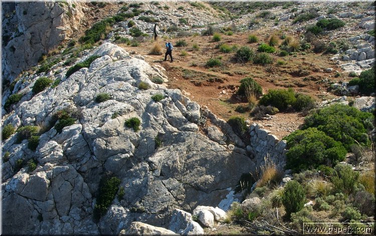 PA020724.JPG