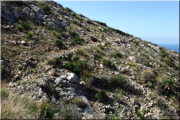 PA020727.JPG