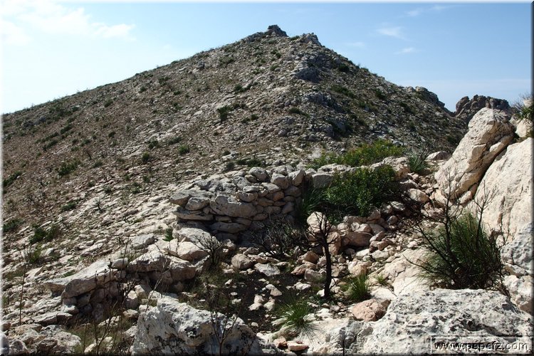 PA020731.JPG