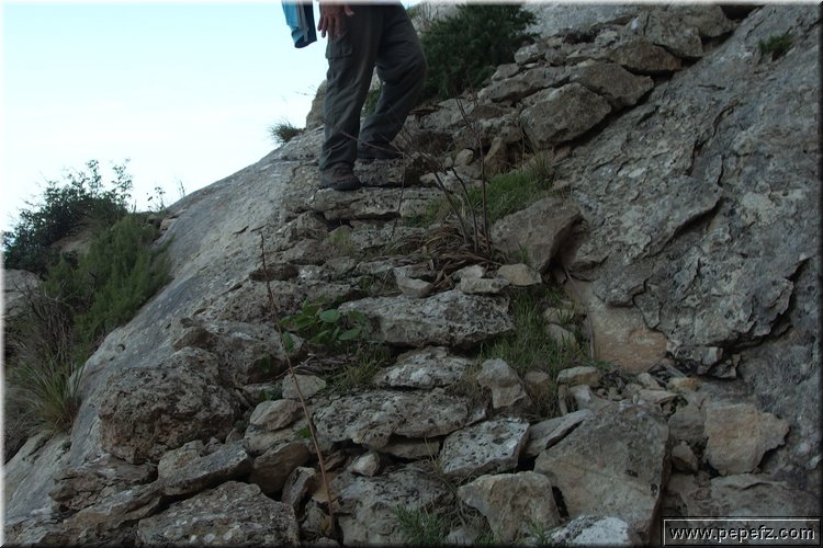 PA020741.JPG
