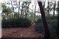 PA020672.JPG