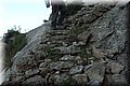 PA020741.JPG