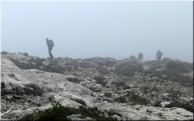 PA060760.JPG