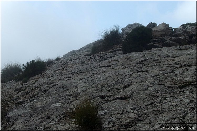 PA060767.JPG