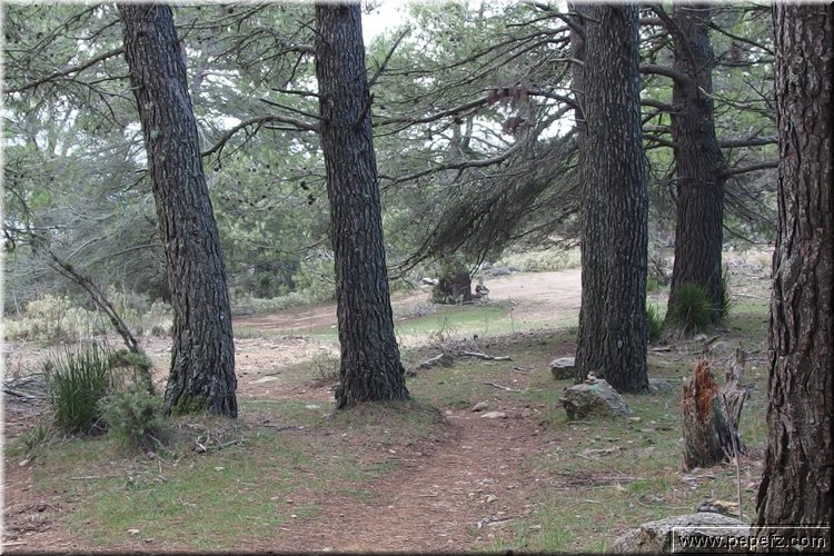 PA060777.JPG