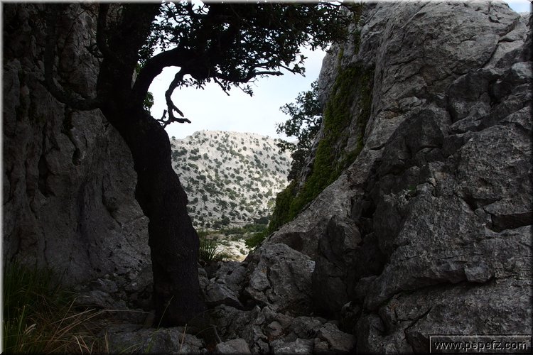 PA060813.JPG