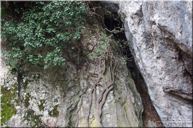 PA060824.JPG