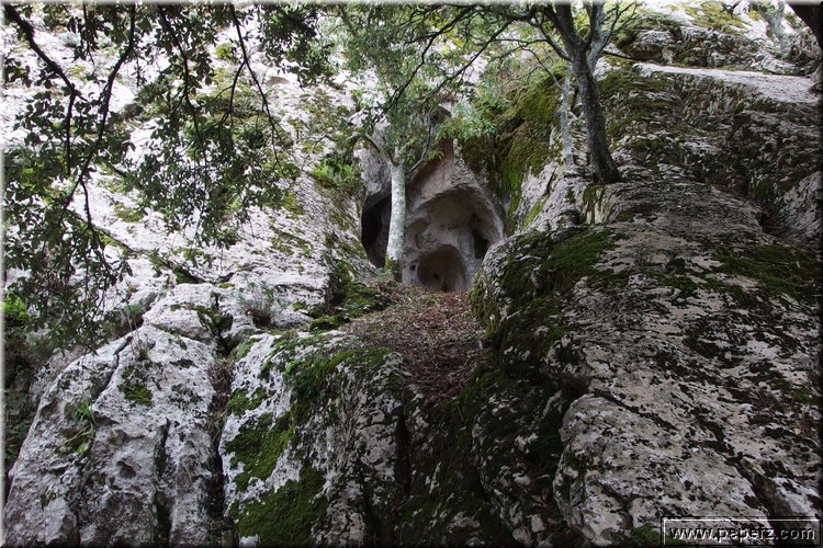 PA060825.JPG