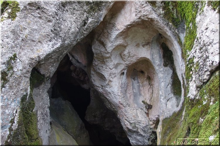 PA060826.JPG