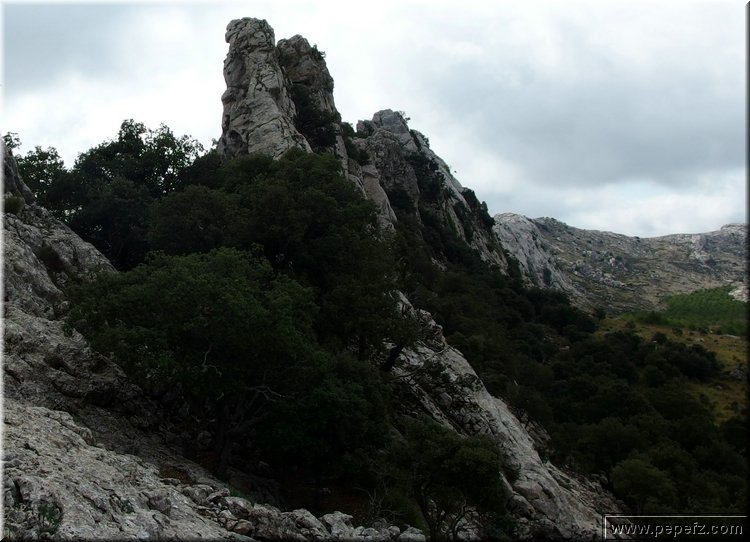 PA060841.JPG