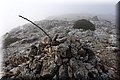 PA060761.JPG