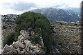 PA060792.JPG