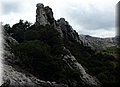 PA060841.JPG