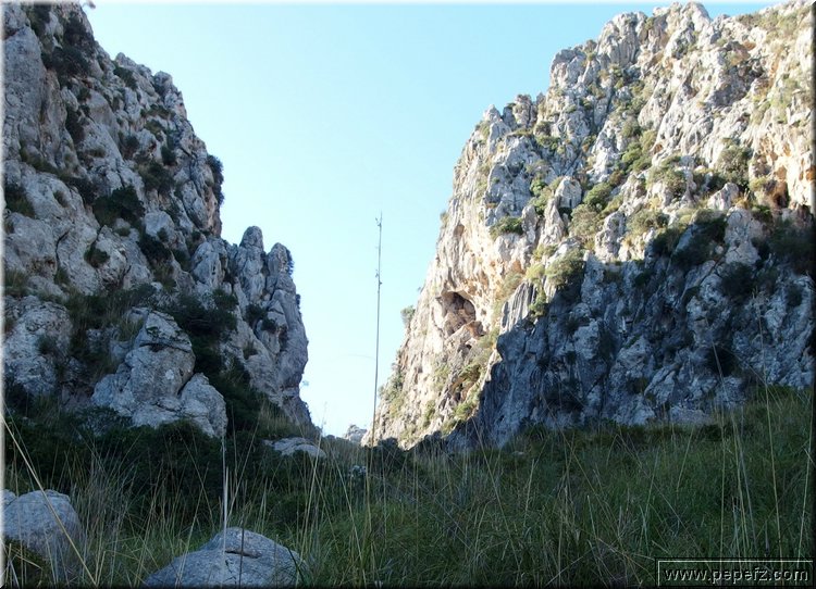 PA090009.JPG