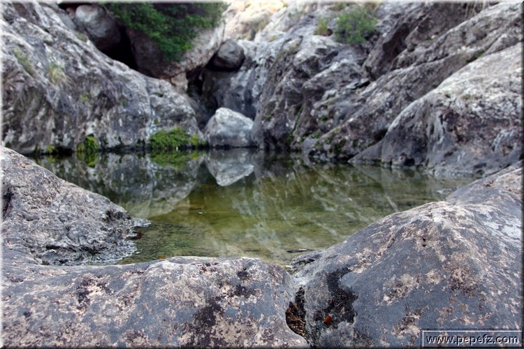 PA090024.JPG