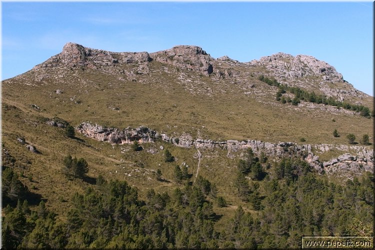 PA090066.JPG
