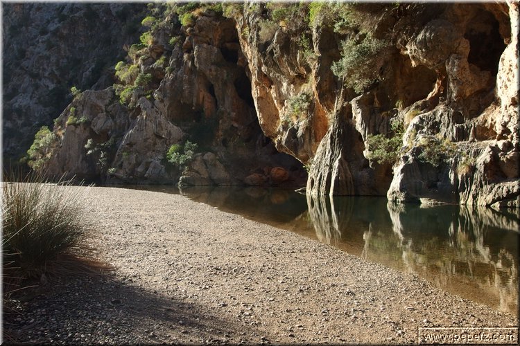 PA130159.JPG