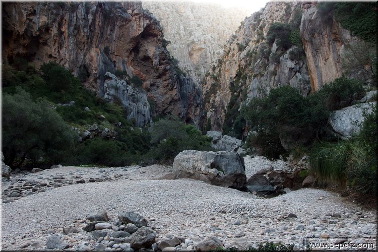PA130161.JPG