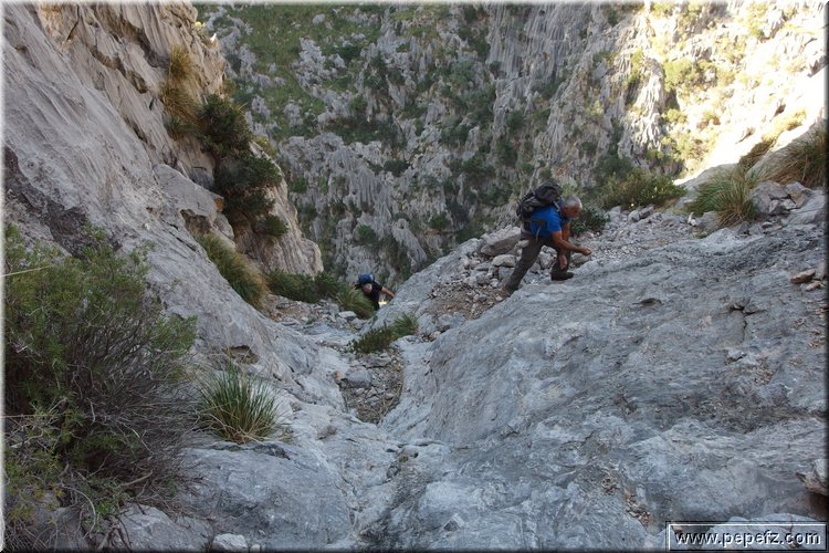 PA130174.JPG