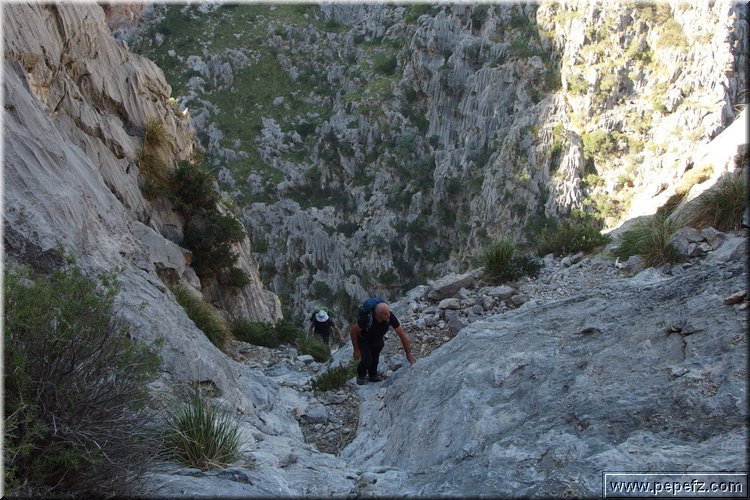 PA130176.JPG