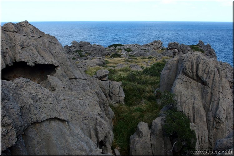 PA130234.JPG