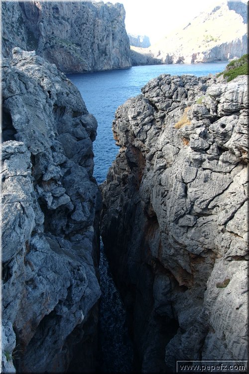 PA130256.JPG