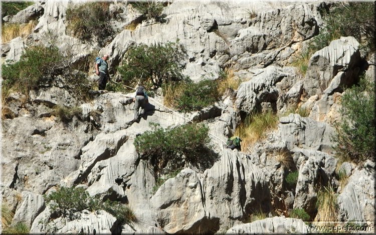 PA130275.JPG