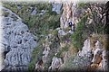 PA130190.JPG