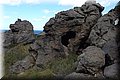 PA130223.JPG