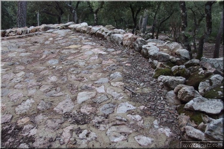 PA160283.JPG