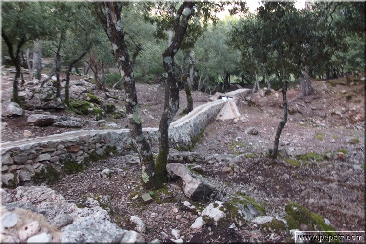 PA160284.JPG