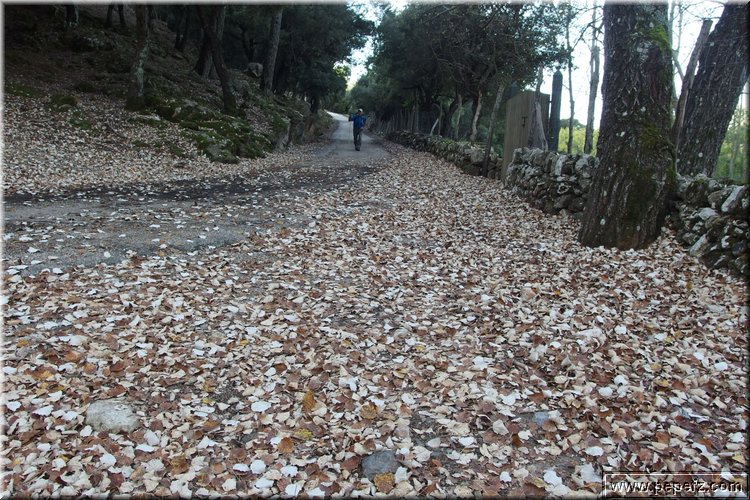 PA160288.JPG