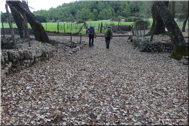 PA160289.JPG