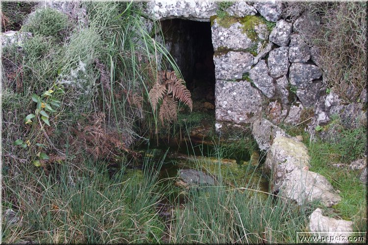 PA160292.JPG