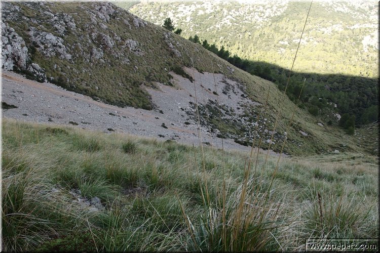 PA160296.JPG