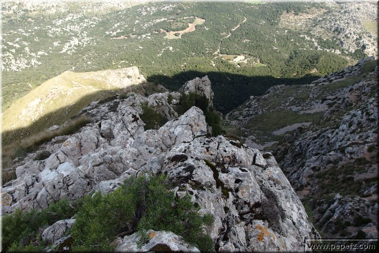 PA160303.JPG