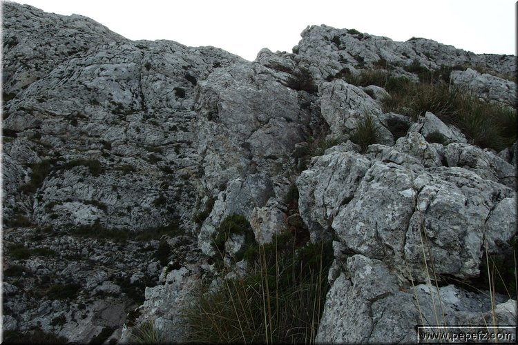 PA160304.JPG