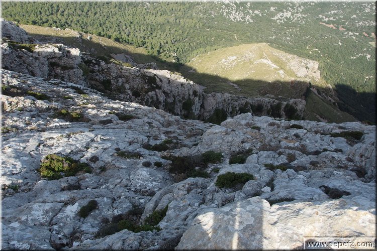 PA160308.JPG