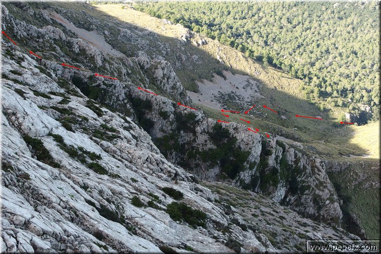 PA160309.JPG