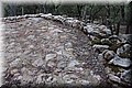 PA160283.JPG