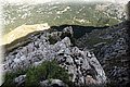 PA160303.JPG