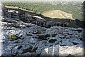 PA160308.JPG