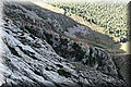 PA160309.JPG